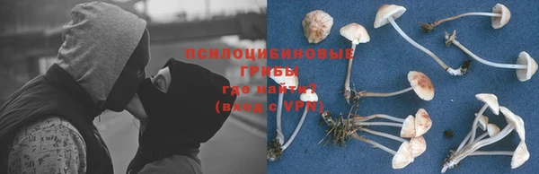 гашик Абаза