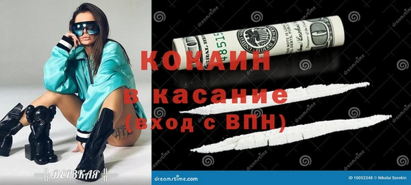 дмт Пестово