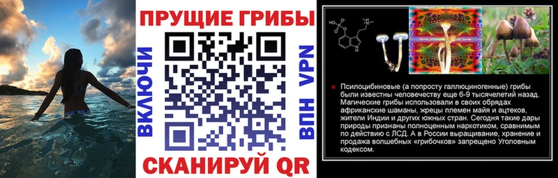 MEGA как зайти  Вилюйск  Галлюциногенные грибы Psilocybine cubensis 